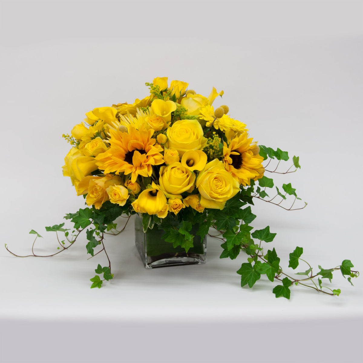 Celebration – Page 2 – Brattle Square Florist