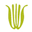 logo of Brattle Square Florist | Cambridge MA Flower Shop | Boston Metro
