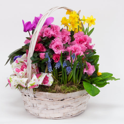 Spring Garden Basket