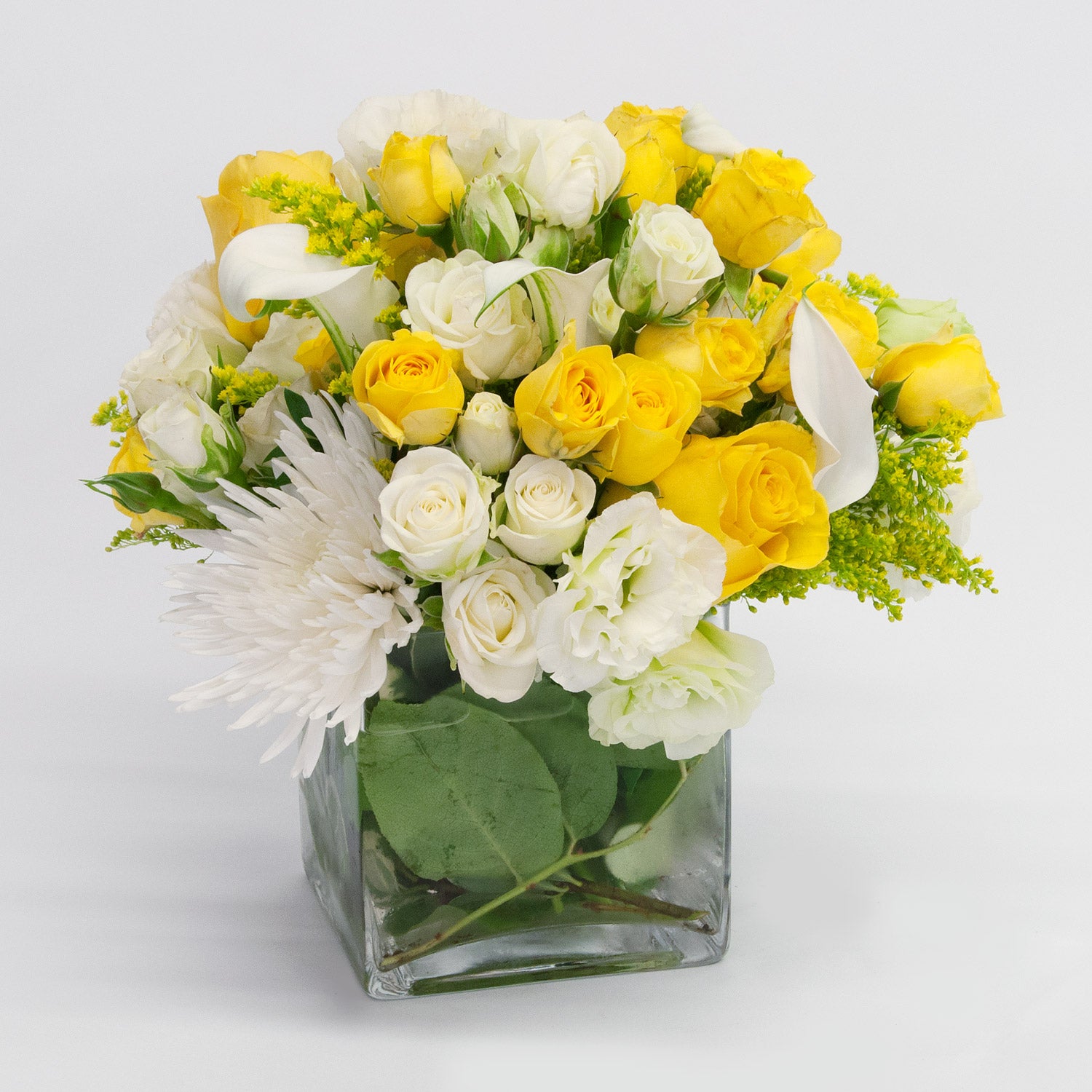 Exceptional Yellow and White Roses